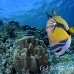 triggerfish_titan_bro_b_ni_h_0580_egy1055.jpg